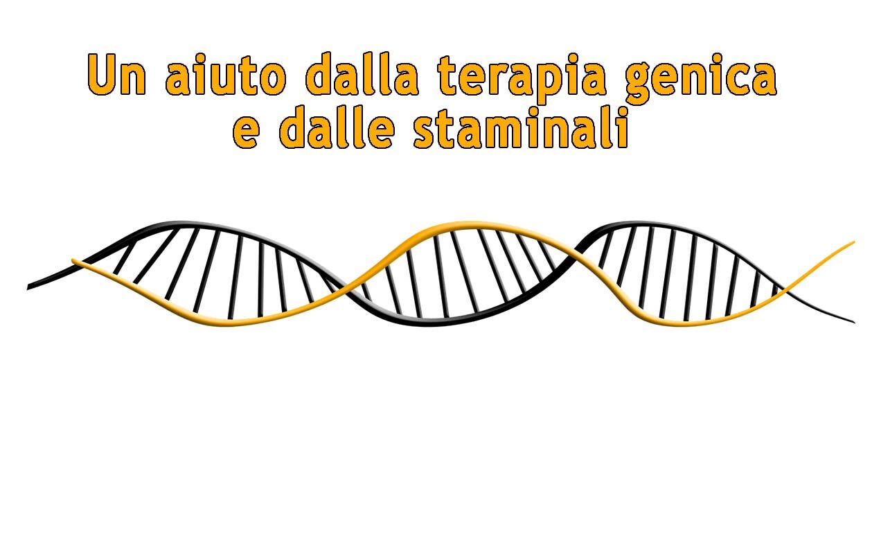 2015-cellule-staminali-evidenza
