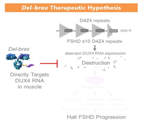 WhatsApp Image 2024-12-20 at 17.38.15