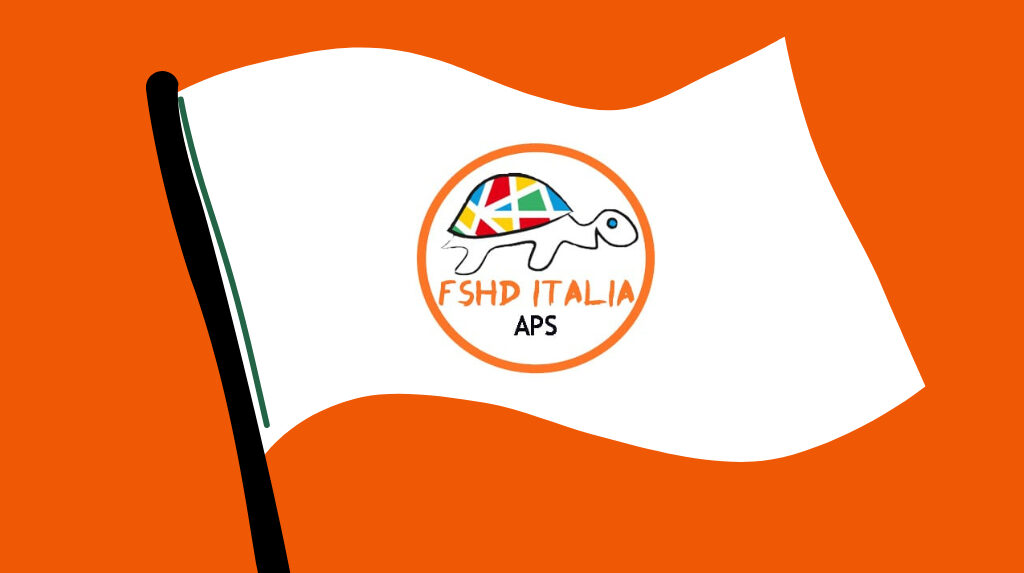 bandiera con logo fshd